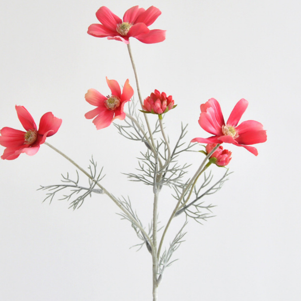 Rose red