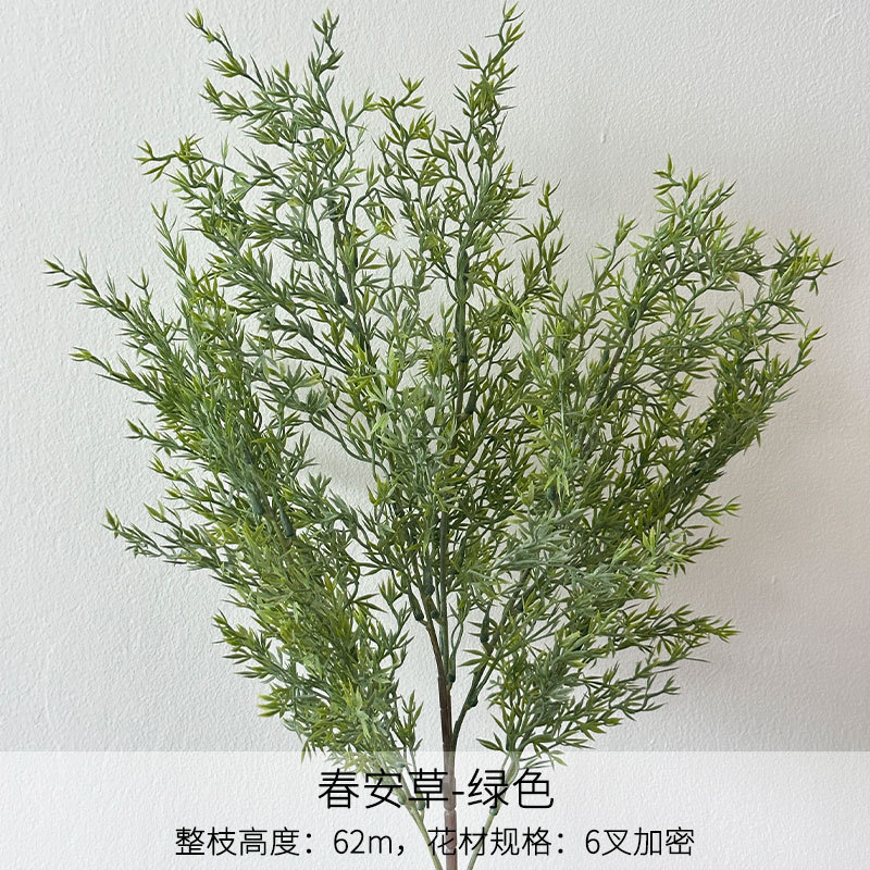 Herbe de printemps
