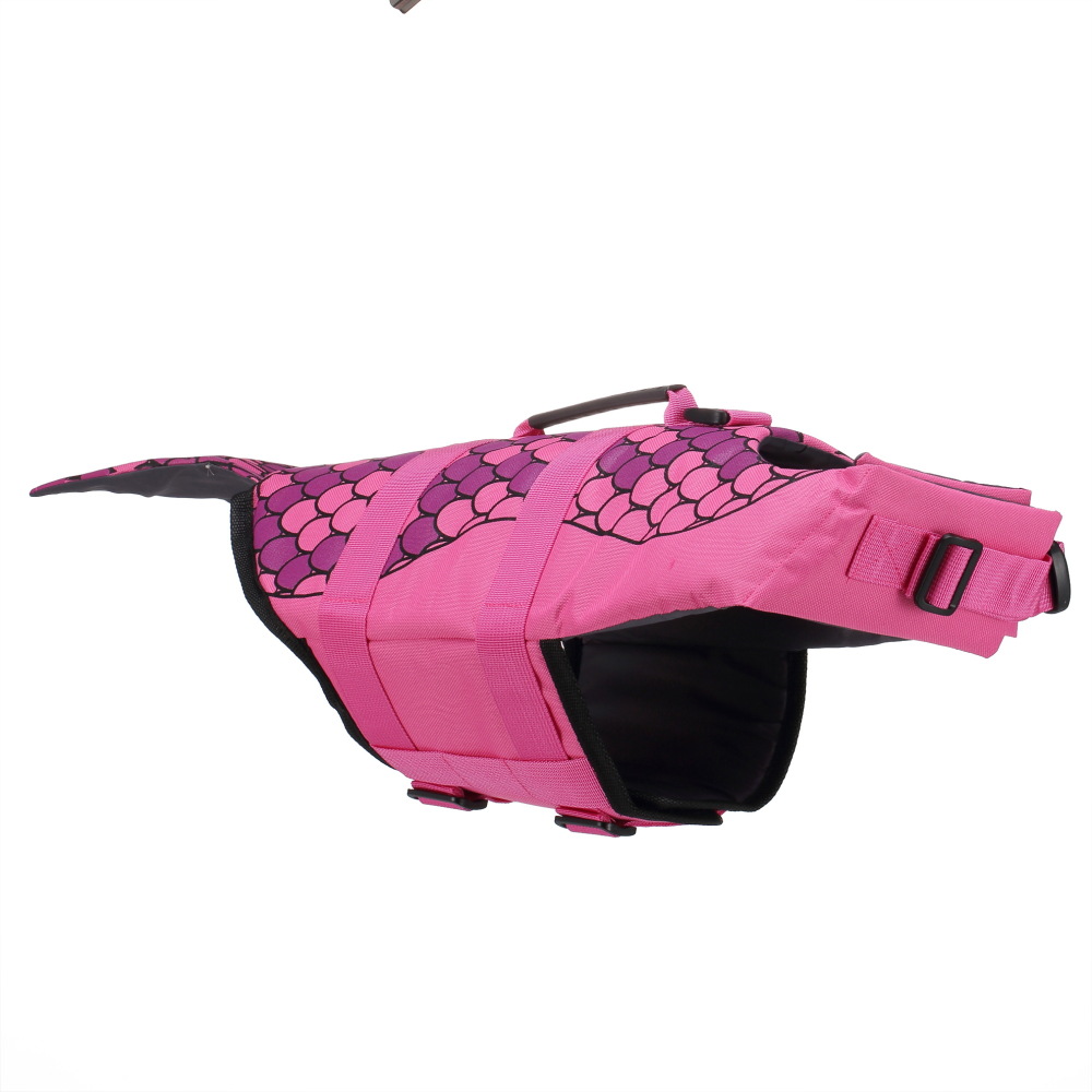 Rosa rosa