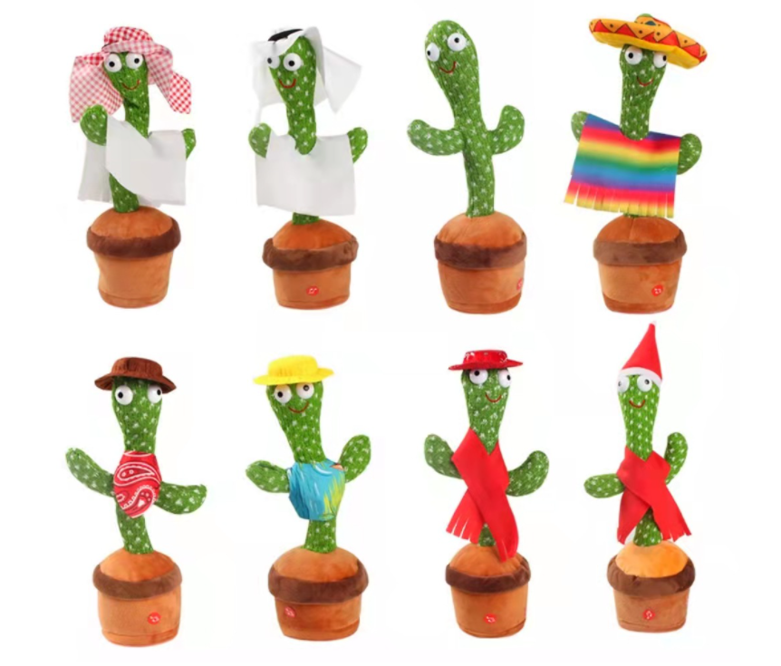 แคคตัสและอุปกรณ์เสริมต่างๆ