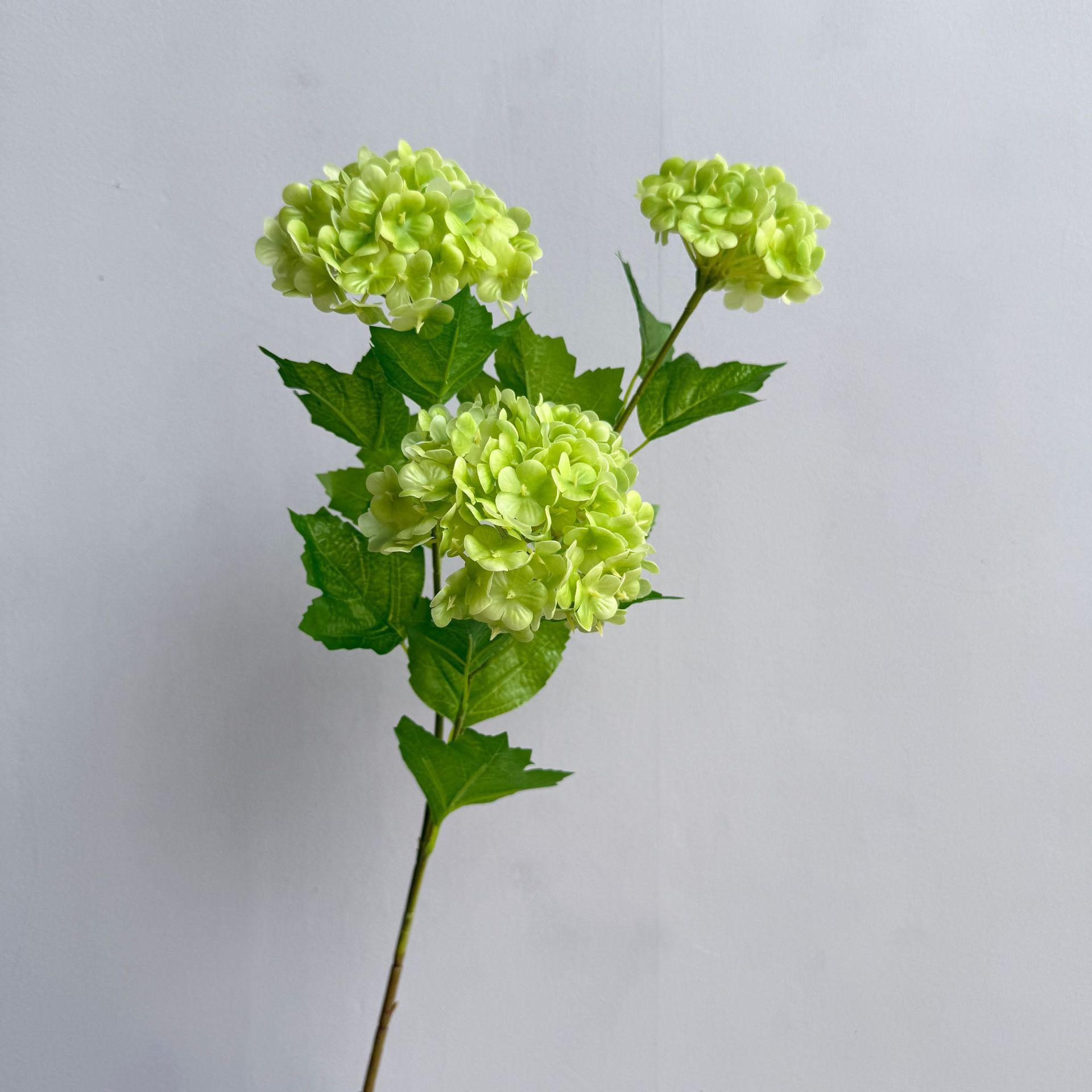 Verde scuro