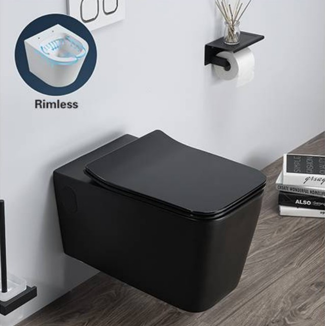 toilettes noires mates
