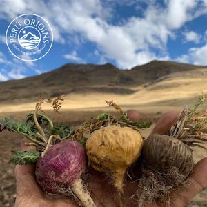 Hot Sale Cheap Excellent Quality Wholesale Price Bulk Organic100% Peruvian Red Maca Root Powder <strong>From</strong> <strong>Peru</strong>