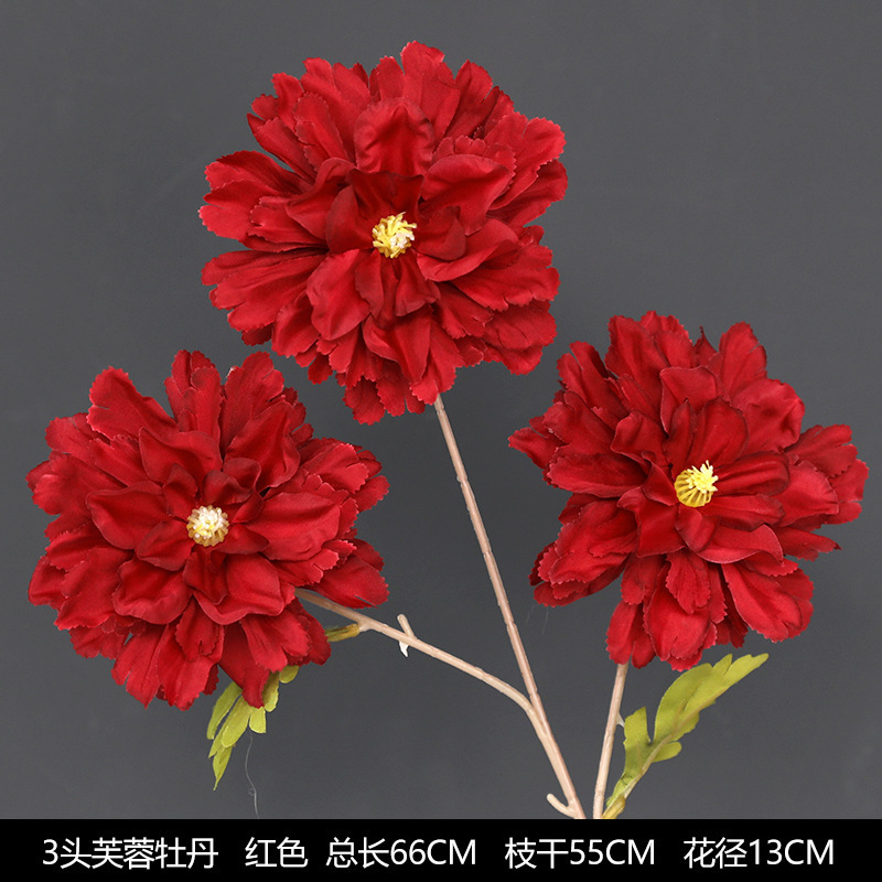 ดอกชบา 3 หัว สีแดงดอกโบตั๋น
