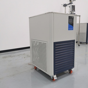 DLSB-10/40 10L -40C 50L -40C Cold Ethanol <strong>Low</strong> Temperature Circulating <strong>Chiller</strong> - Product Image 2