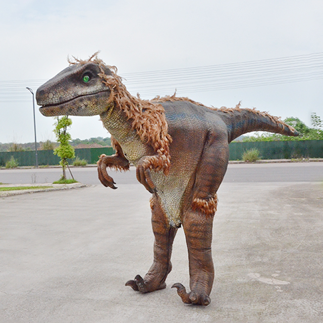 Triceratops