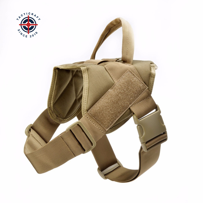 หน้าอกและหลังของสุนัขเป็นสีกากี