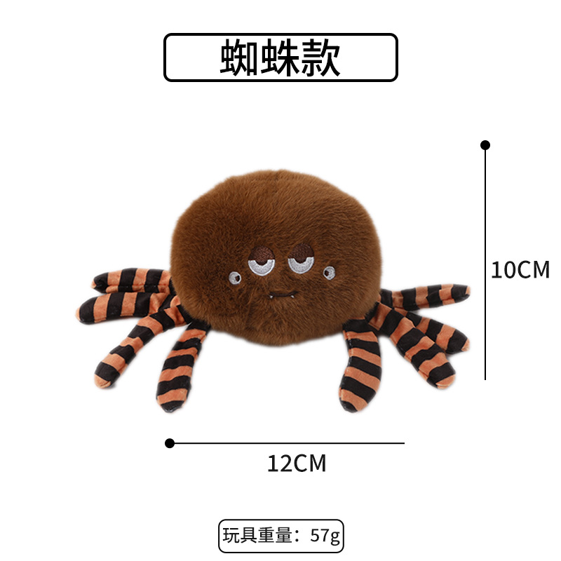 Spider