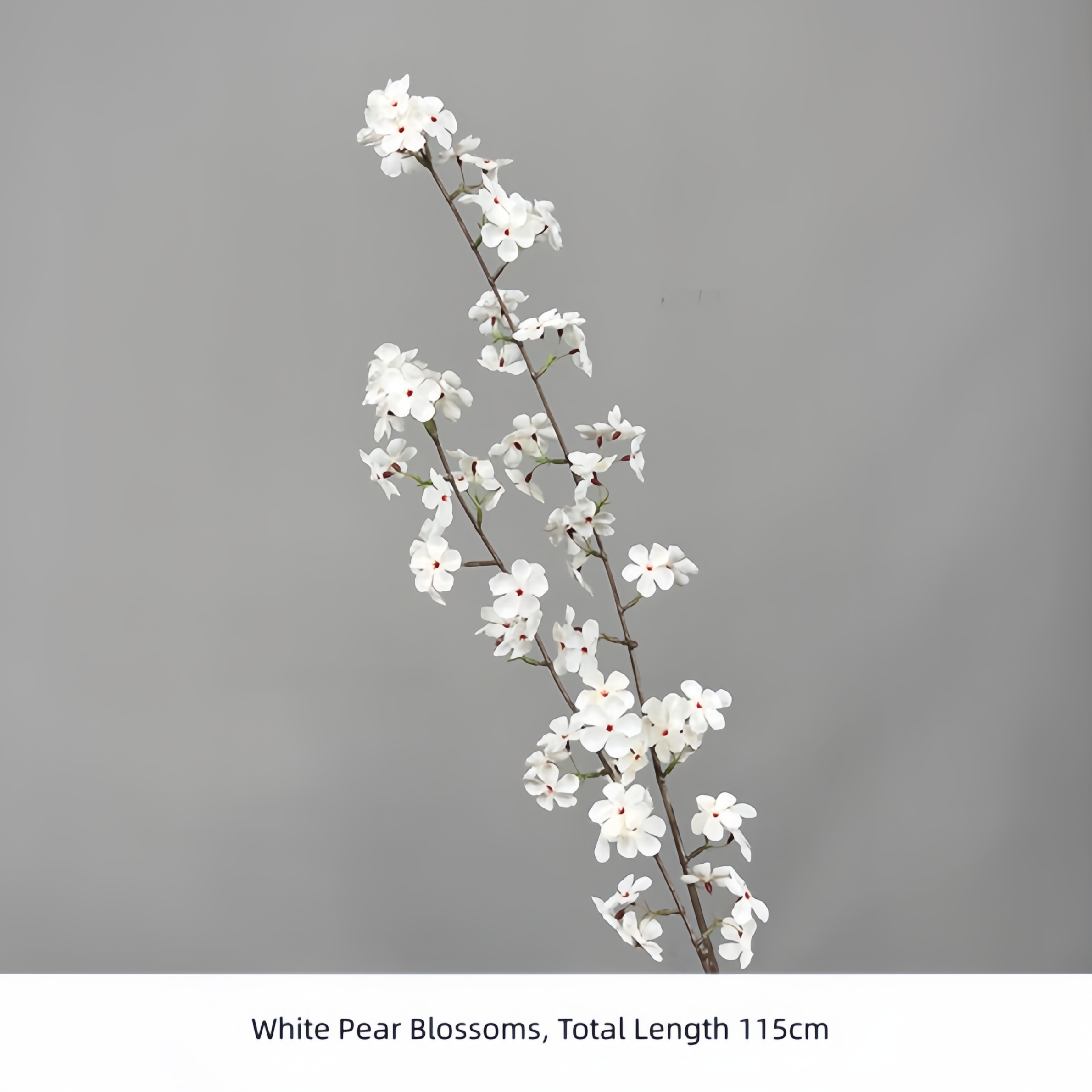 Fleurs de poire blanche