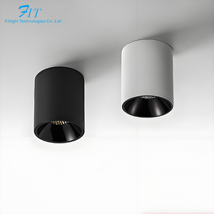 Modern oturma odası LED yüzeye monte spot TOPAK tavan 15W Downlight derin anti-parlama olmayan delikli alüminyum gövde - Product Image 1