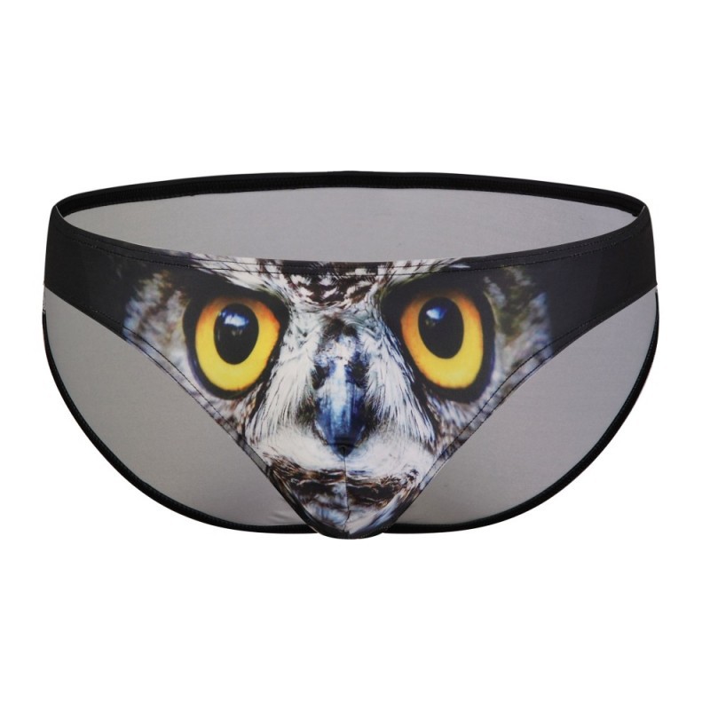 Hibou