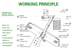 New High Capaicty Intelligent Small Color <strong>Sorting</strong> Rice Grading <strong>Machine</strong> Mini Rice Color Sorter <strong>Machine</strong> for Rice Mill - Product Image 6