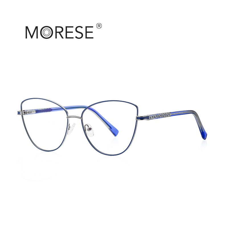 C6 Sliver/Blue