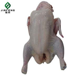 高档优质新鲜冷冻全鸡禽肉冷冻全鸡