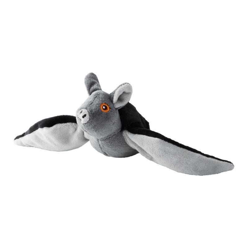 chauve-souris