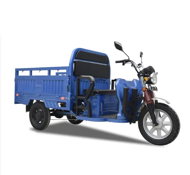 EW esesign 60km ONG Ange 1000W ower 300kg ooading apapacity Basic Customización leclectric ricricycle para Cargo