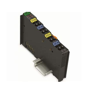 High Quality Channel Read <strong>Analog</strong> <strong>Input</strong> <strong>Module</strong> 750-455/040-000 in Stock - Product Image 3