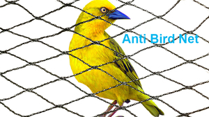 HDPE anti-kuş Net ucuz Anti UV kuş geçirmez netleştirme sebze meyve bitkileri göletler kuş Catcher ağları - Product Image 6