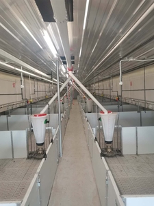 Tự động khô và ướt feeders cho lợn chăn nuôi trang trại thiết bị để bán cho động vật feeders - Product Image 4