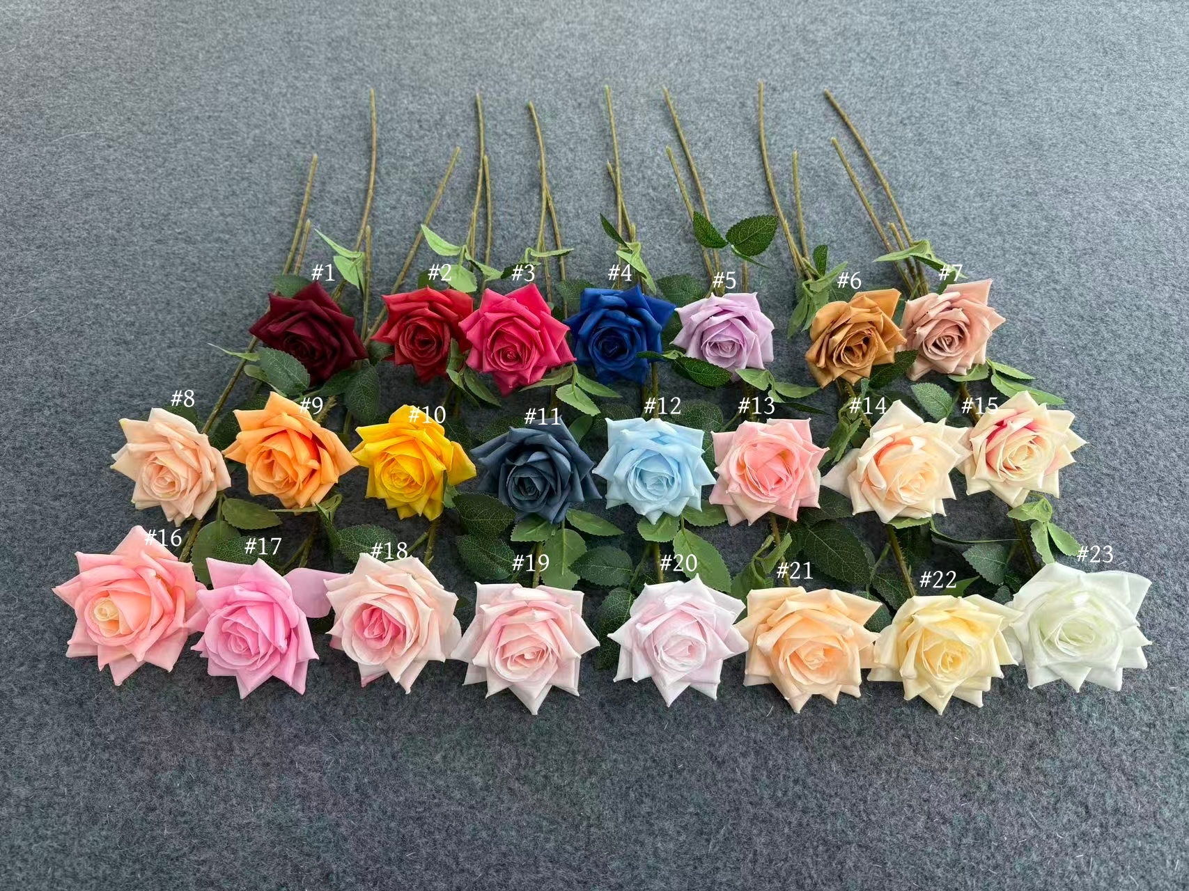 Rosa