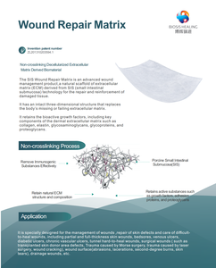 Produk Balutan Penyembuhan Luka Baru 2022 Melawan Diabetes dan Pembalut Luka Kronis - Product Image 3
