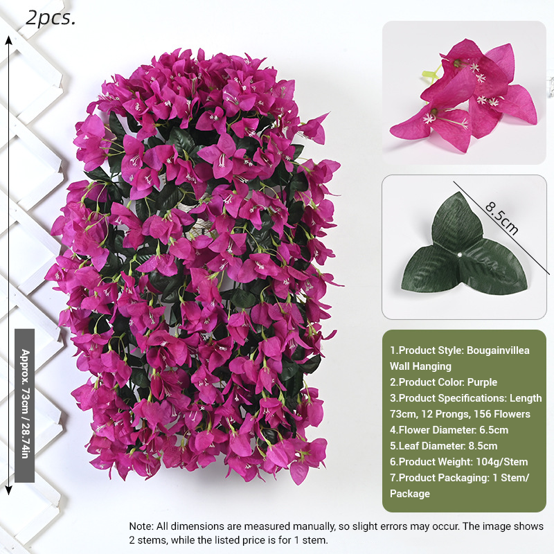 Bougainvillier violet