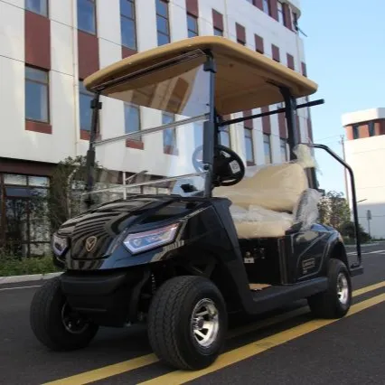 LEROAD מט שחור 2 מושבים מועדון רכב חשמלי עגלת גולף