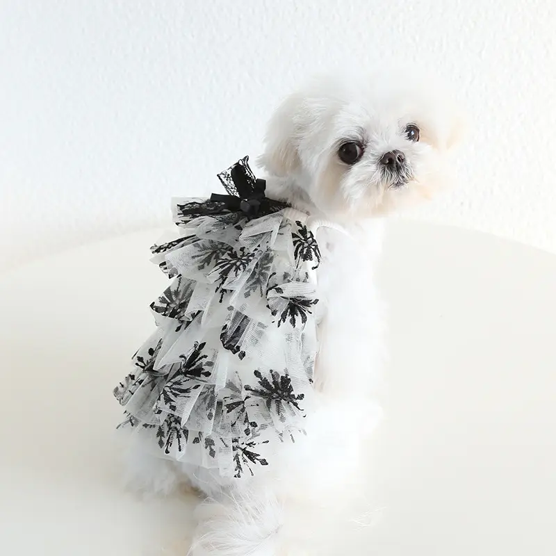 Großhandel Haustier Kleidung Hund Prom Prinzessin Kleid Mode Classic Schwarz Weiß Blütenblatt Kuchen Rock Süße Hunde Katze Kleidung Für den Sommer