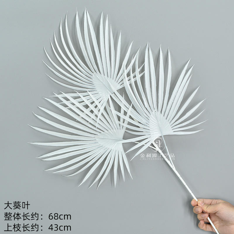 Grande feuille de tournesol blanche