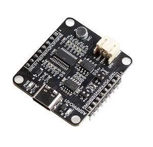 ASR-PRO ses akıllı konuşma tanıma kontrol modülü AI çevrimdışı tanıma geliştirme kurulu özel şartları - Product Image 1