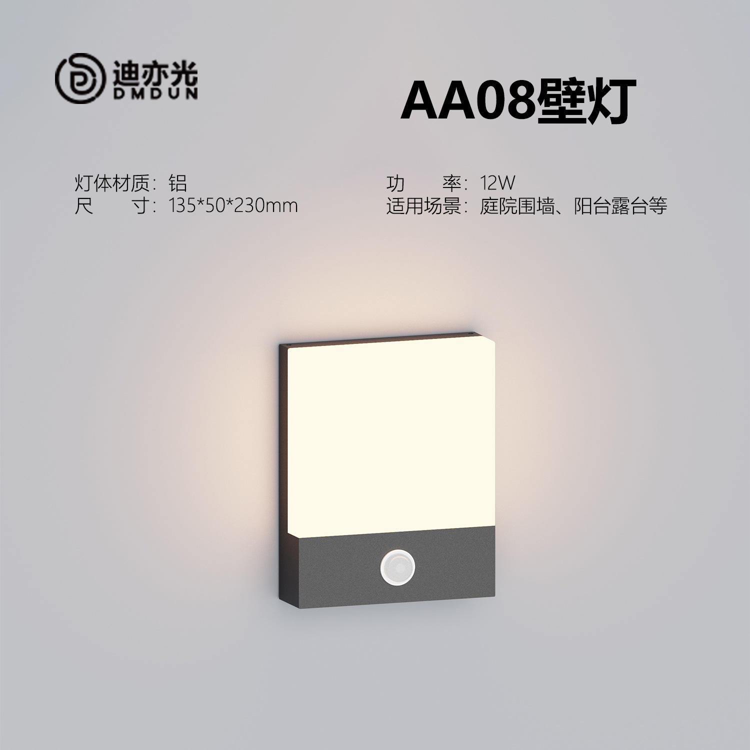 AA08-12W (lampe à induction)