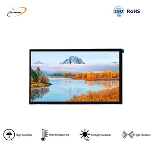 Módulo LCD TFT TN 11,6*1920 de 1080 pulgadas, pantalla de salpicadero automática, interfaz Richarmony para coche, LCD EDP de alta resolución para coche 1080p - Product Image 6