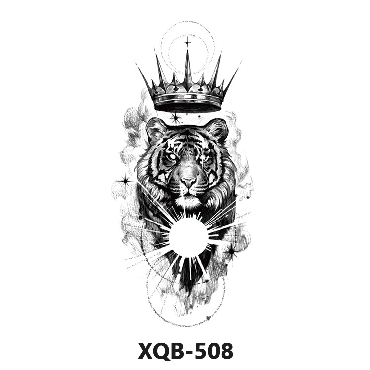 Numéro de modèle: XQB508