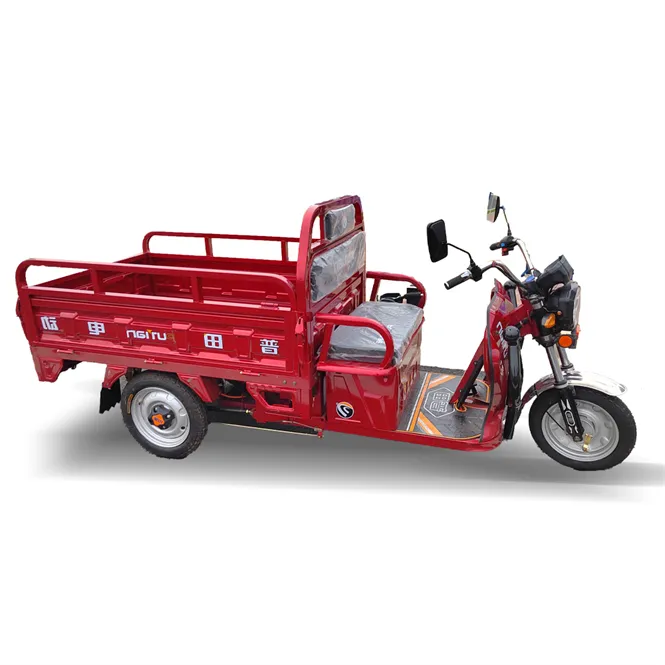 लोकप्रिय डिजाइन 10 इंच मोटरसाइकिल 6000-Watt-Electric-Trike तीन पहिया बिजली Tricycle