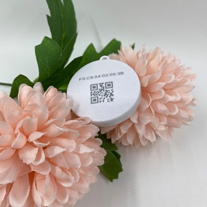 Anpassbares Bluetooth 5.0 iBeacon & Eddy stone Indoor Monitoring Proximity Marketing Tragbares Tag für IoT-Projekte - Product Image 2