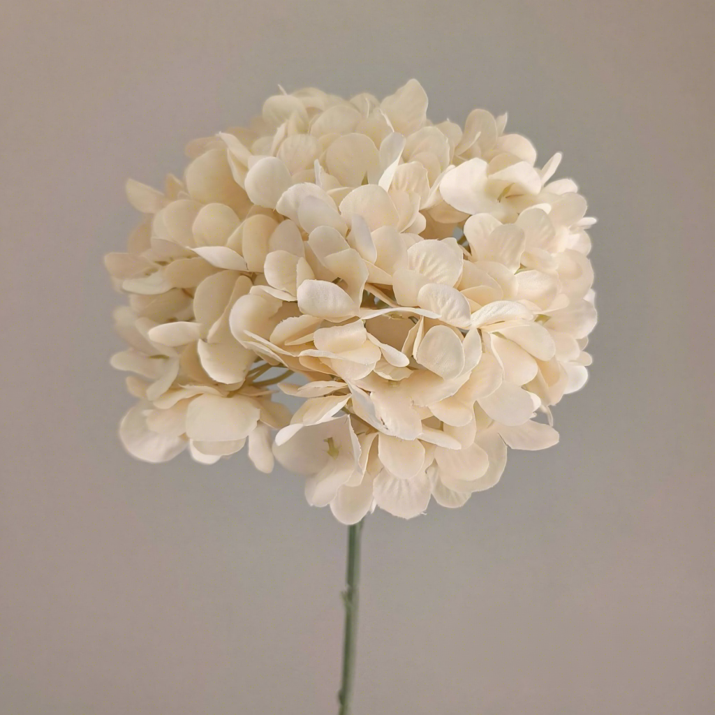 126 Petals Hydrangea-Champagne-58cm
