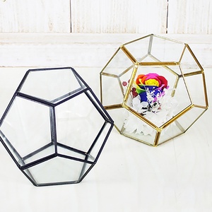 Hồ Cạn Khối Lập Phương Được Thiết Kế Đẹp Mắt Cho Cây Trồng - Product Image 4