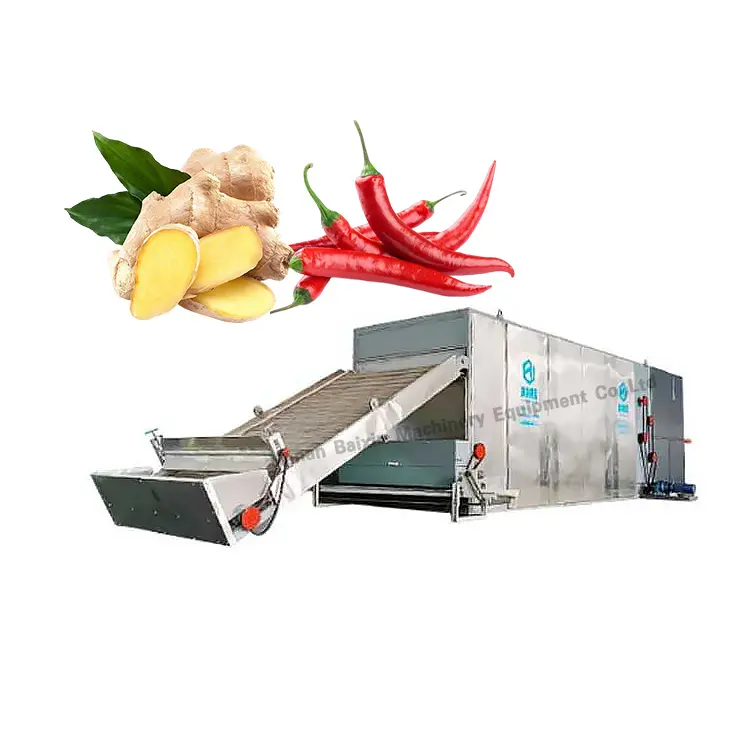 Gengibre Olive Fruit 6 Meter Dryer Equipamento De Secagem Contínua Automática Desidratadora Paprika Cayenne Máquina De Secagem De Folhas