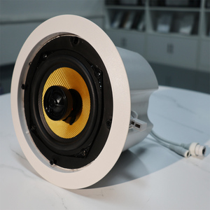 Nuevo modelo de sistema IP PA, altavoz de techo de alta fidelidad compatible con fuente de alimentación POE, Protocolo SIP/WIFI/ONVIF opcional - Product Image 5