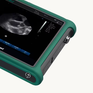 Produk medis Fitin diskon besar mesin <span class=keywords><strong>ultrasound</strong></span> penggunaan pertanian peralatan <span class=keywords><strong>ultrasound</strong></span> dokter hewan dokter hewan portabel - Product Image 2