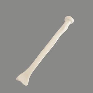 Ortopedik cerrahi eğitimi iç<span class=keywords><strong>in</strong></span> 3-6mm yaşam boyu yarıçaplı değişken kanal çapına sahip KyrenMed katı köpük yarıçapı - Product Image 2