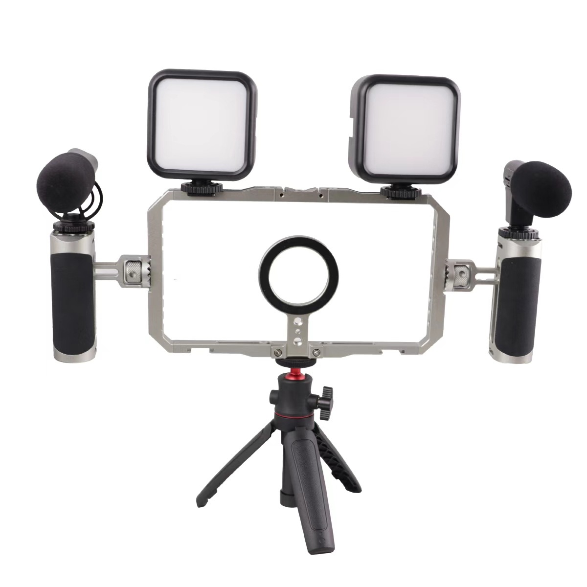 Cage à lapin en métal, lumière de remplissage, 2 microphones, 2 trépieds