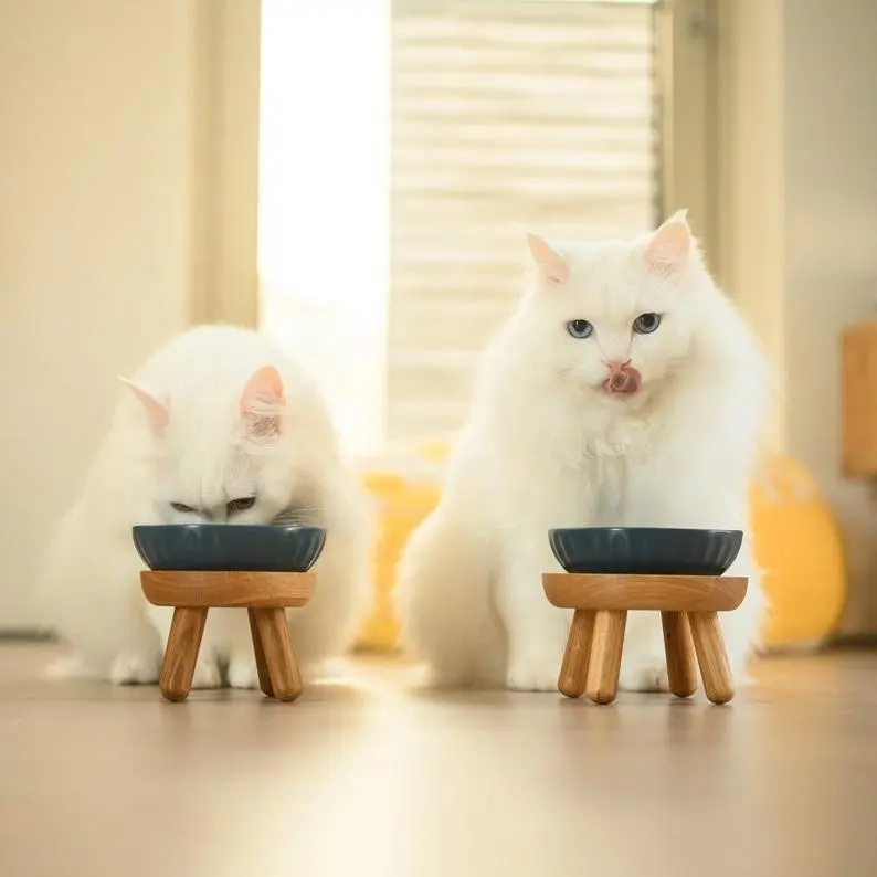Подъемная миска для кошек из белого дуба, подставка для кормления домашних животных, подставка для миски для домашних животных