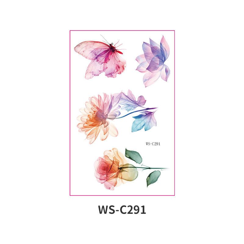 WS-C291