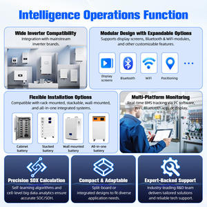 Tianpower 16S 100A thông minh điện áp thấp lưu trữ năng lượng nhà BMS pin lithium hệ thống quản lý với sự cân bằng - Product Image 4