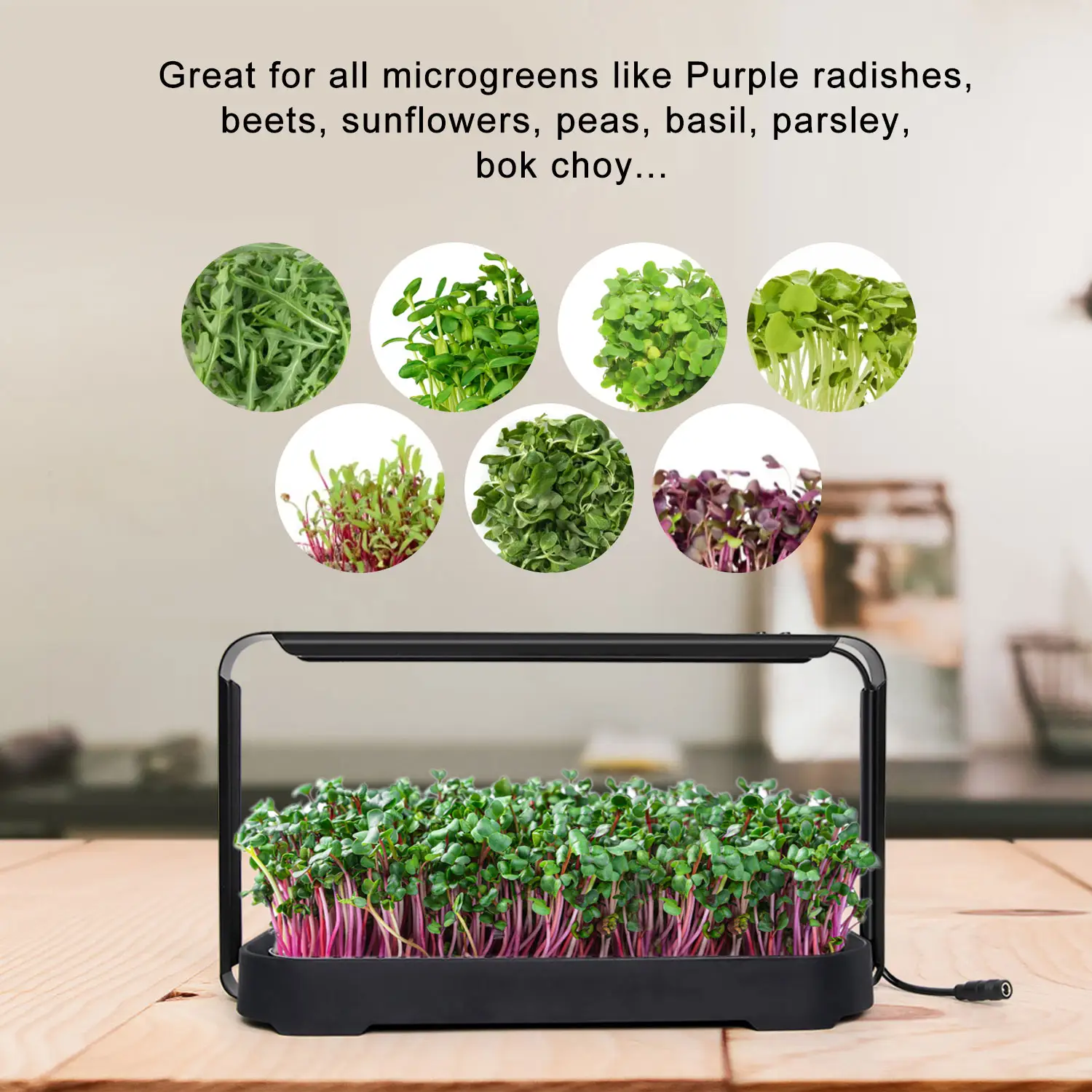 自己散水デザイン屋内LEDグロースマートシステム屋内グローガーデン野菜ガーデンキット