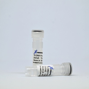 Tinzyme T4 DNA <strong>Polymerase</strong>,not Contain Exonuclease Activity of 5' to 3' DNA,can Be Inactivated by Heating at 70 for 10 Minutes - Product Image 3