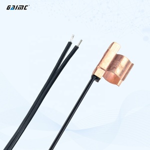 Sonda de sensor de temperatura NTC de alta precisión GAIMC GTS100 | Impermeable, respuesta rápida | Longitud personalizable - Product Image 1