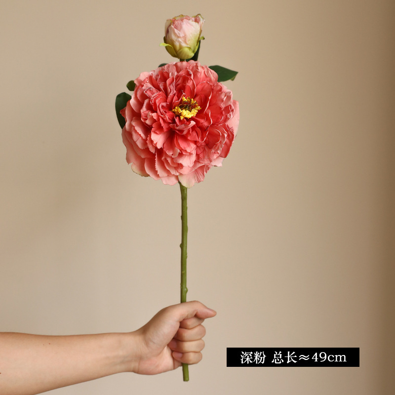 Pure Desire Rose profond