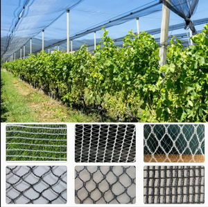 Lưới chống mưa đá chất lượng cao tùy chỉnh, lưới nông nghiệp nhựa HDPE, lưới chống chim nông nghiệp 60g 70g, lưới chống mưa đá - Product Image 6